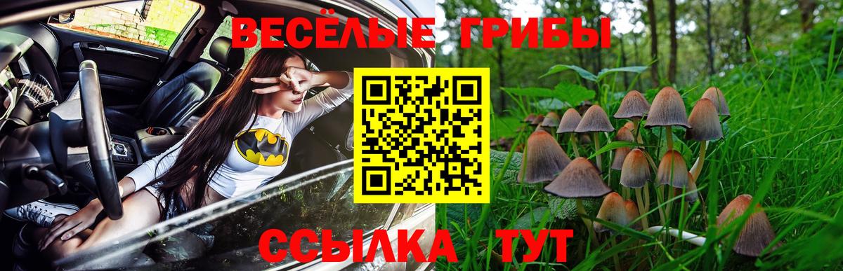 Псилоцибиновые грибы мицелий Люберцы